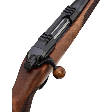 CARABINE À VERROU AERO PRECISION