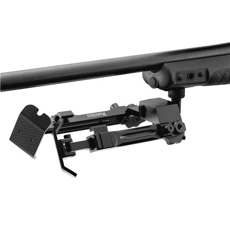 CARABINE À VERROU HOWA HOWA PACK CARABINE 1500 GRS BIFROST .308 WIN