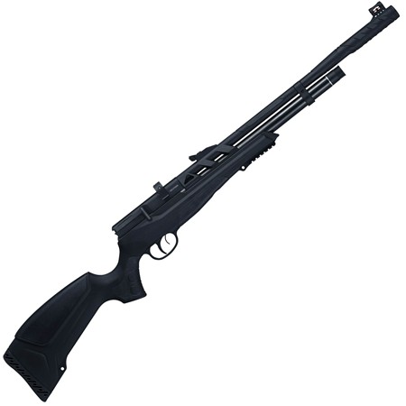 Carabine Pcp Beeman Raider 1320