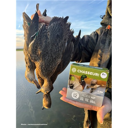 CARTOUCHE DE CHASSE ACIER HP - 32G - CALIBRE 12