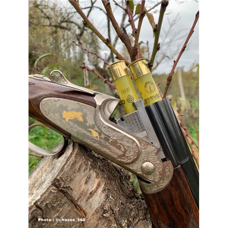 CARTOUCHE DE CHASSE BG - 28G - CALIBRE 20