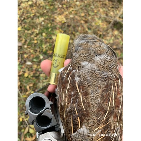 CARTOUCHE DE CHASSE BG - 28G - CALIBRE 20