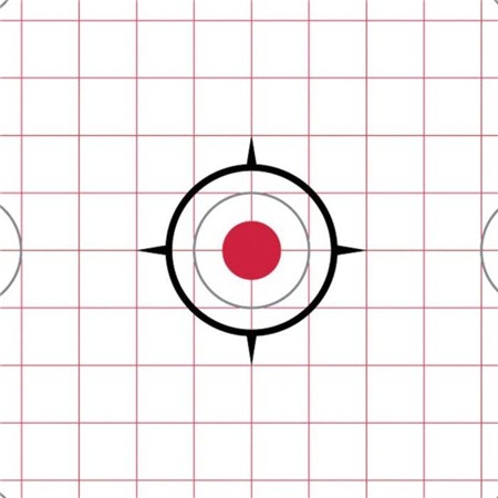 CIBLES ADHÉSIVES RUGER PAPIER 7 ZONES PRÉCISION - PAR 20