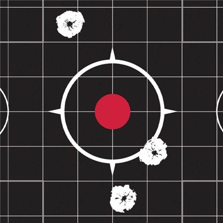 CIBLES ADHÉSIVES RUGER SPLASH 10/22 - PAR 5