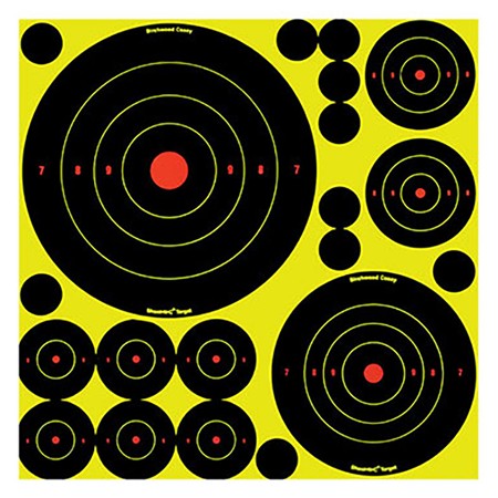 Cibles Avec 10 Bull's Eye Birchwood-Casey - Par 5