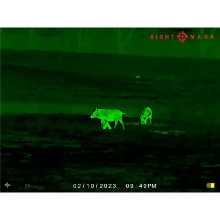 LUNETTE DE VISÉE 2-16X35 SIGHT MARK WRAITH MINI
