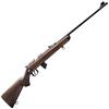 Carabine 22Lr Norinco Jw15 - Bois