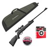 Carabine À Air Comprimé Gamo Big Cat 1000E - Carabine + Lunette 4X32 + Plombs + Cibles + Fourreau