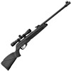 Carabine À Air Comprimé Gamo Black Bear - Carabine + Lunette 4X32