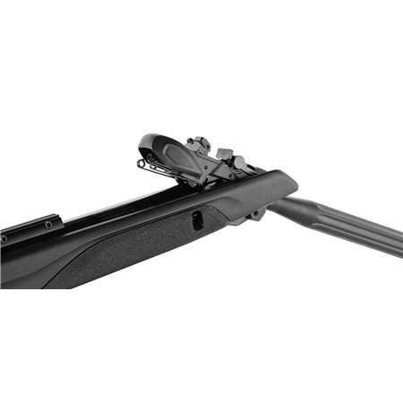 PACK CARABINE À AIR COMPRIMÉ GAMO + LUNETTE 4X32 WR SPEEDSTER 10X IGT GEN2