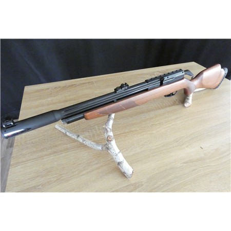 Pack Carabine À Air Comprimé Gamo Riser Punisher + Lunette + Pompe Flex Pcp Arrow + Plombs - G1675p