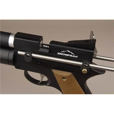 PISTOLET PCP ONIX PP750
